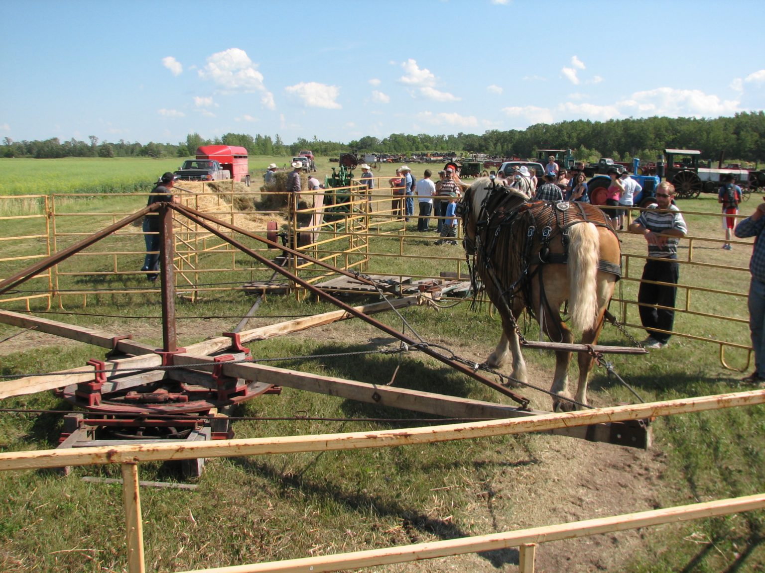 Horse Power Sweep | Manitoba Agricultural Museum